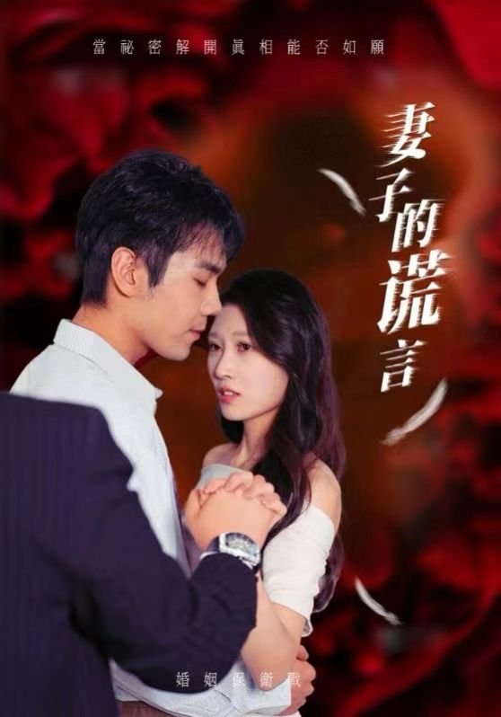 《妻子的谎言2》电视剧在线观看免费未删减版