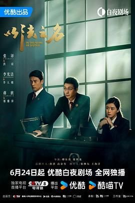 《以法之名》电视剧免费观看全集完整版全高清