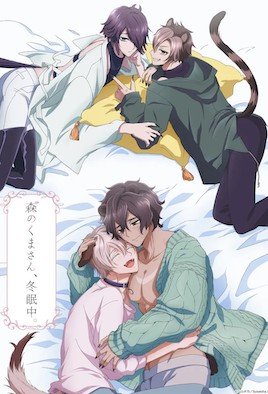 《森林里的熊先生，冬眠中。》动漫全集在线观看免费完结版