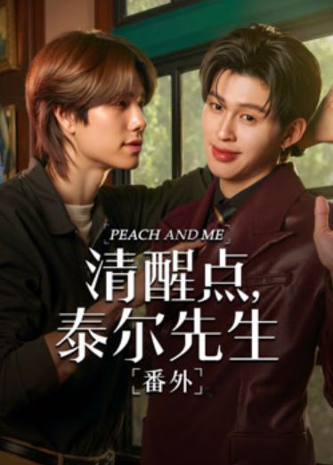 《清醒点泰尔先生》番外全集免费中字国语特别版