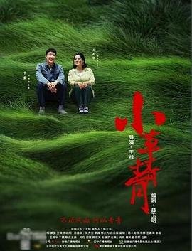 《小草青青》电视剧免费全集完结版